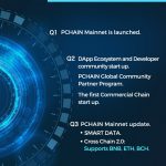 pchain