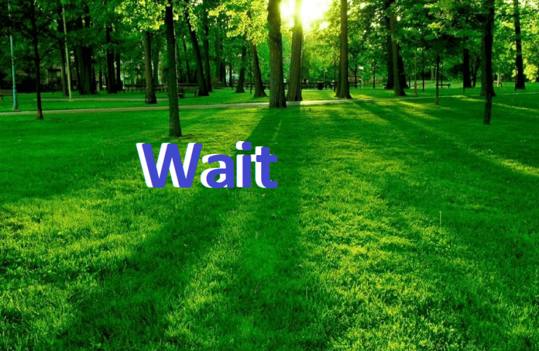 Cập nhật ngày 10/9/019, thị trường đi ngang chờ Bakk