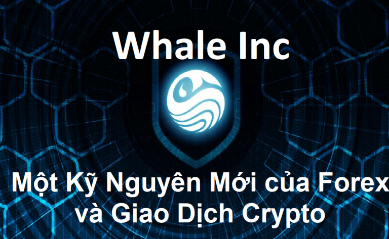 Whale Inc là gì? tại sao lại chọn Whale Inc?