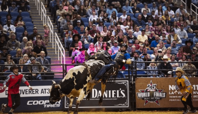 Chỉ số biến động bitcoin cao nhất trong 6 năm qua.