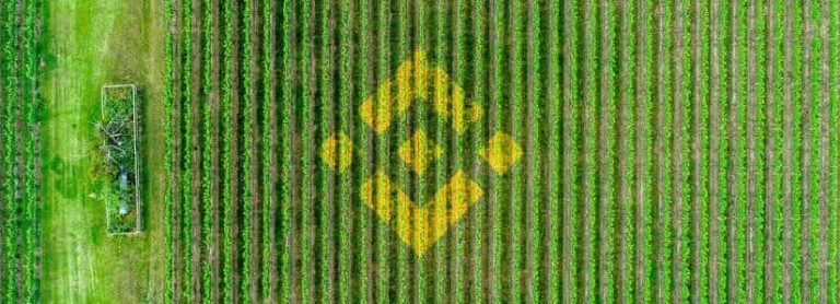 Binance Chain có các yield farming DeFi của riêng mình