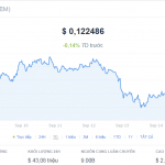 Nem(Xem)_gia_ca_thi_truong