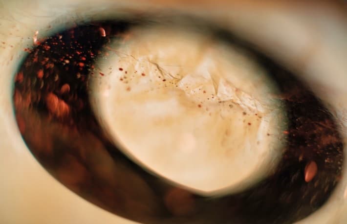 Giao thức Ogirin mất 7 triệu đô la trong cuộc tấn công DeFi mới nhất