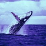 ethereum-tron-eos-whales-gambling-dapps-gID_6