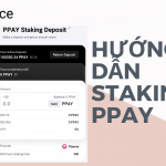 Staking PPAY