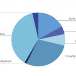 Token Allocation
