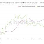So-luong-nguoi-nam-giu-Bitcoin-tang-cao-ky-luc-hinh2