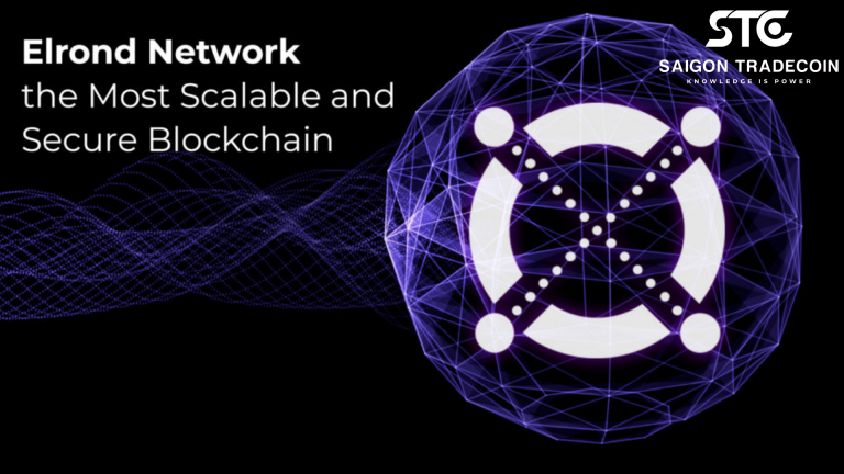 Đánh giá tổng quan về dự án Elrond