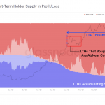Long-Short-Term-Holder-Supply-in-Profit-Loss