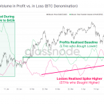 Total-Transfer-Volume-in-Profit-vs.-in-Loss-BTC-Donomination