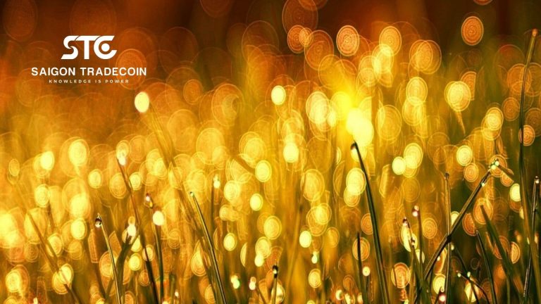 Bitcoin – Phép thuật của tỷ lệ vàng