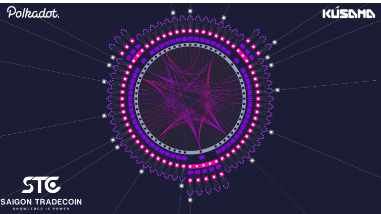 Cập nhật về Polkadot (DOT) 29/8