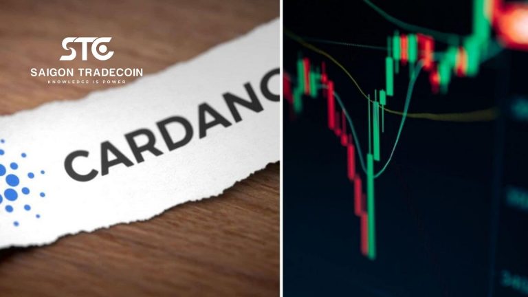 Cardano tăng mạnh ​​với việc sắp ra mắt hợp đồng thông minh