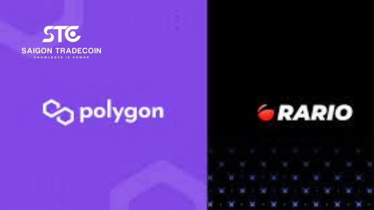 New Gaming Studio của Polygon ra mắt nền tảng Cricket NFT