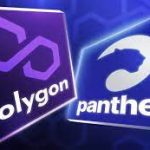 Panther-x-Polygon