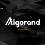 algorand-tang-30-giua-luc-thi-truong-di-xuong-cover