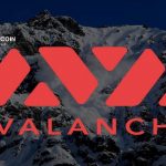 cap-nhat-thong-tin-amm-dex-he-sinh- thai-avalanche-hinh-cover