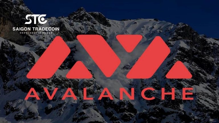 Cập nhật thông tin mảng AMM DEX hệ  Avalanche