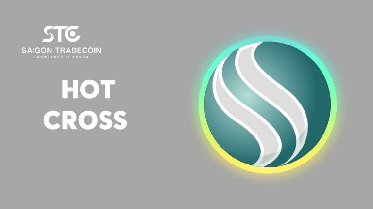 Đánh giá tổng quan về dự án Hot Cross (HOTCROSS)