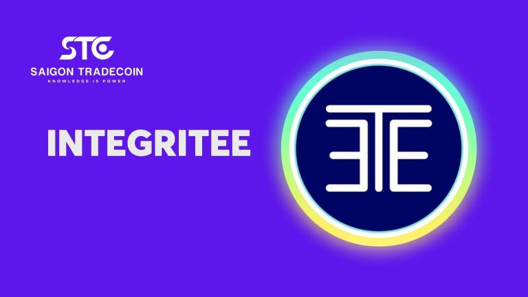 Integritee là gì? Toàn tập về tiền điện tử Integritee (TEER)