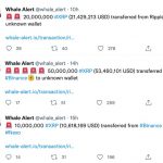 ripple-va-binance-da-chuyen-di-so-xrp-tri-gia-85-trieu-usd-trong-20-gio-qua-1