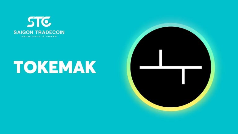 Tổng quan về dự án Tokemak