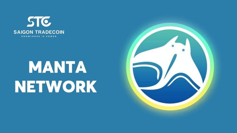 Đánh giá tổng quan dự án Manta Network