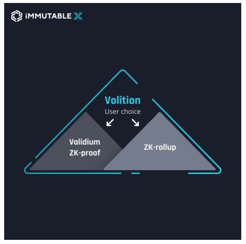 Cấu trúc của Immutable X