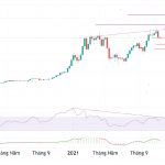 photo_2021-11-22-13.50.44