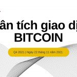 photo_2021-11-22 14.23.09