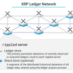mang-luoi-xrp-ledger