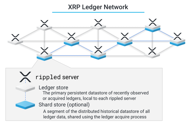 H Sinh Th i XRP Ledger SaiGon TradeCoin