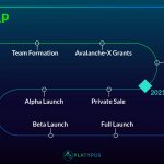 platypus-finance-roadmap