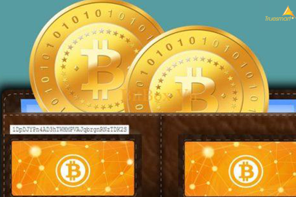 Ví chứa 321 Bitcoin được kích hoạt sau tám năm