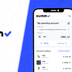 vi-xumm-trong-xrp-pledger