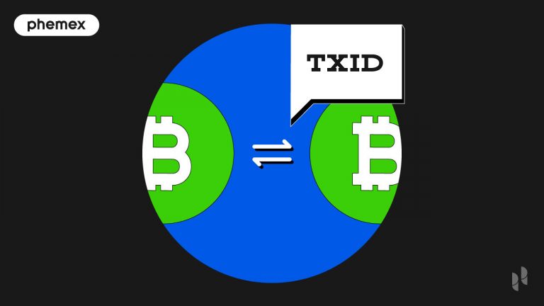 TXID (ID giao dịch) là gì: Tìm ID giao dịch trên Blockchain