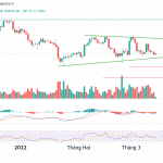 btc-usdt-1d-tuan-11