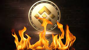 Đốt coin là gì?