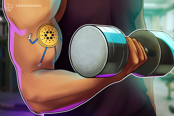 Cardano – cá mập múc 79,1 triệu ADA trước Vasil hard fork
