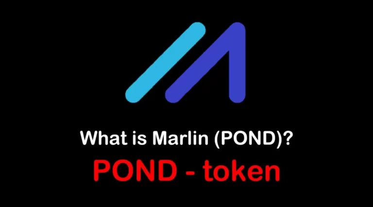 <strong>Marlin Protocol là gì?</strong>