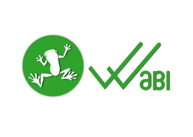 Wabi Coin là gì?