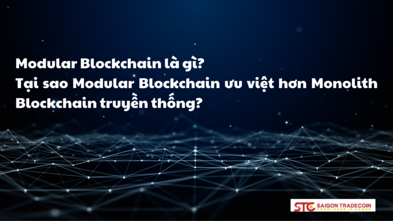Modular Blockchain là gì?