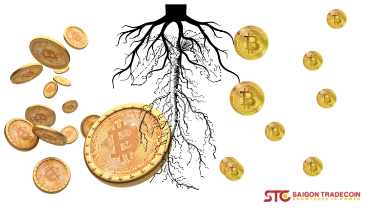 Taproot là gì?