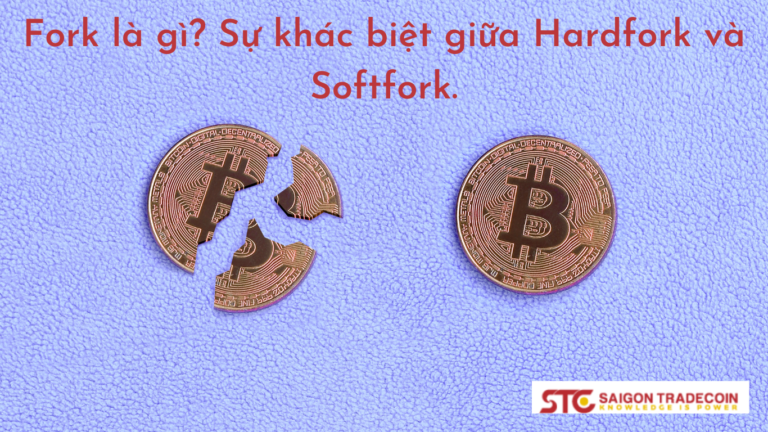 Fork là gì? Sự khác biệt giữa Hardfork và Softfork.