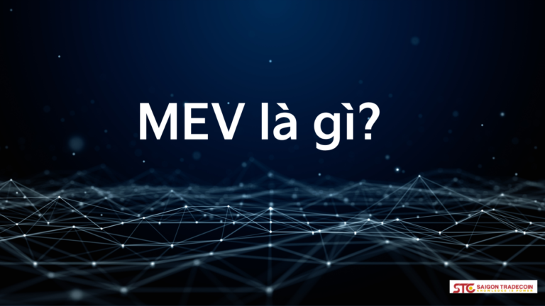 MEV là gì?