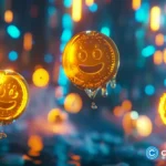 crypto-news-meme-coins-option01