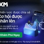 336x280_CopyTradeinvest