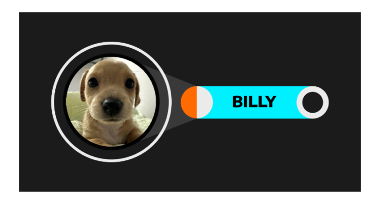 Billy (BILLY): Giới thiệu chú chó đáng yêu nhất trên Solana