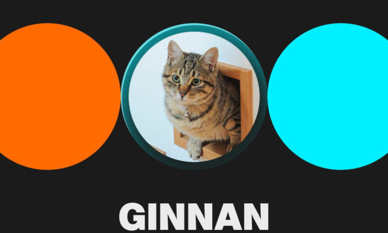 Bitget niêm yết Ginnan The Cat (GINNAN), tham gia và chia sẻ 10,000,000,000 GINNAN!