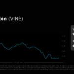 VINE